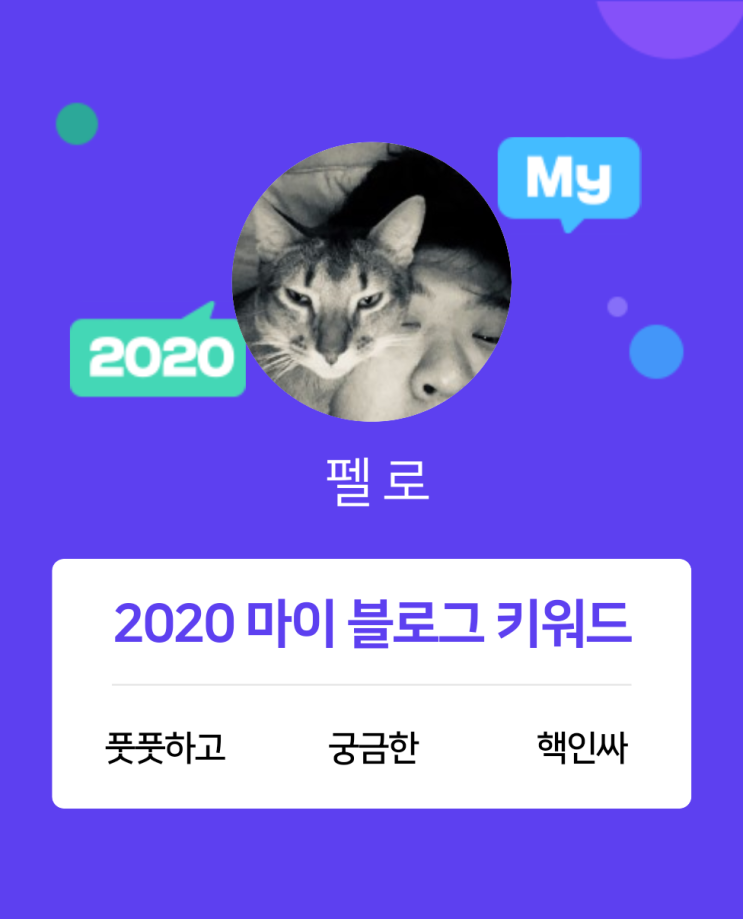 [2020 마이블로그 리포트] 한 눈에 보는 올해 내 블로그 데이터!