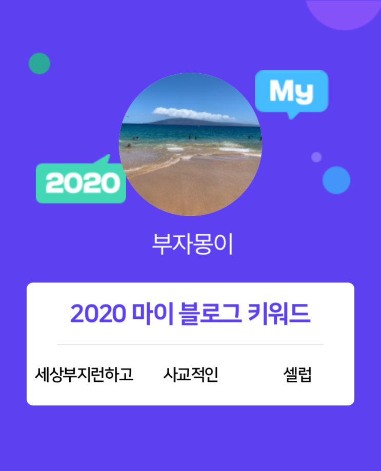  [2020 마이블로그 리포트] 한 눈에 보는 올해 내 블로그 데이터!