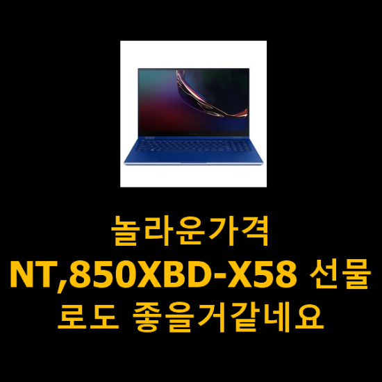 놀라운가격 NT,850XBD-X58 선물로도 좋을거같네요