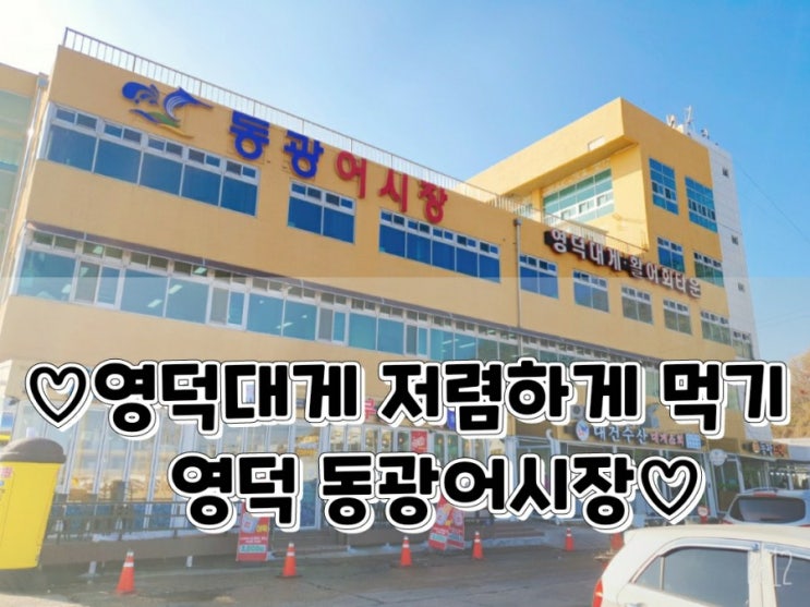  영덕대게축제 강구항 수산시장 동광어시장에서 가성비 영덕 대게 맛집처럼 즐기기
