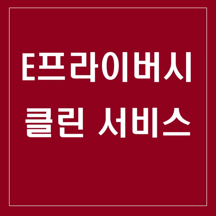  E프라이버시클린서비스를 아시나요?