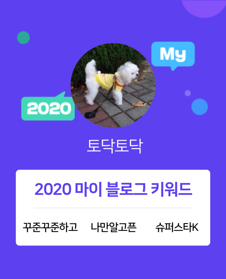  [2020 마이블로그 리포트] 한 눈에 보는 올해 내 블로그 데이터!