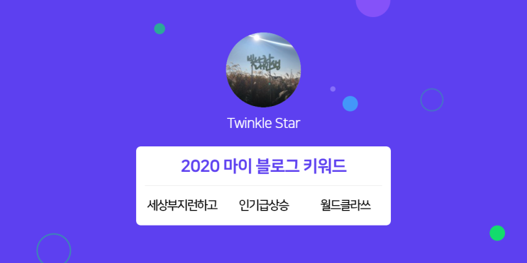 [2020 마이블로그 리포트] 한 눈에 보는 올해 내 블로그 데이터!