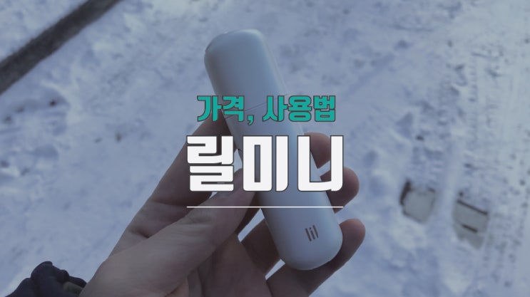  릴 미니 사용법 그리고 가격과 후기