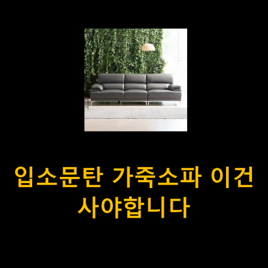  입소문탄 가죽소파 이건 사야합니다
