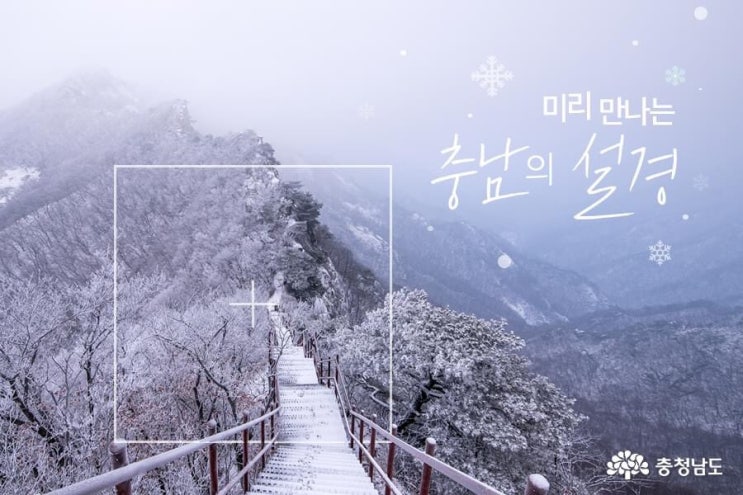 미리 만나는 충남의 설경 | 충남도청페이스북