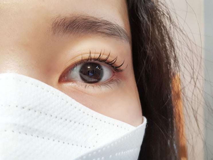  대구 끌레르랑에서 속눈썹펌 비포앤애프터~ 대구 신암동 속눈썹연장 가격