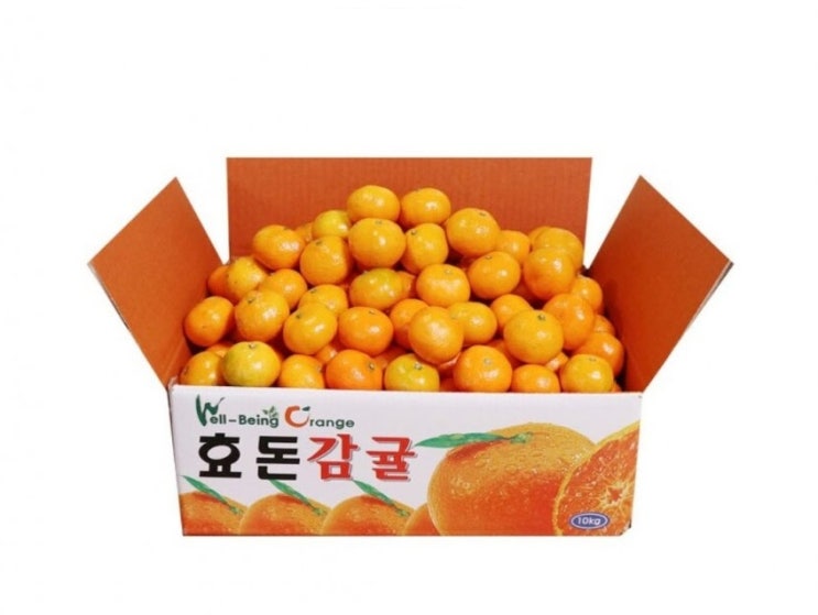  우체국쇼핑몰 당도보장 귤10kg에 9,900!! 핫딜