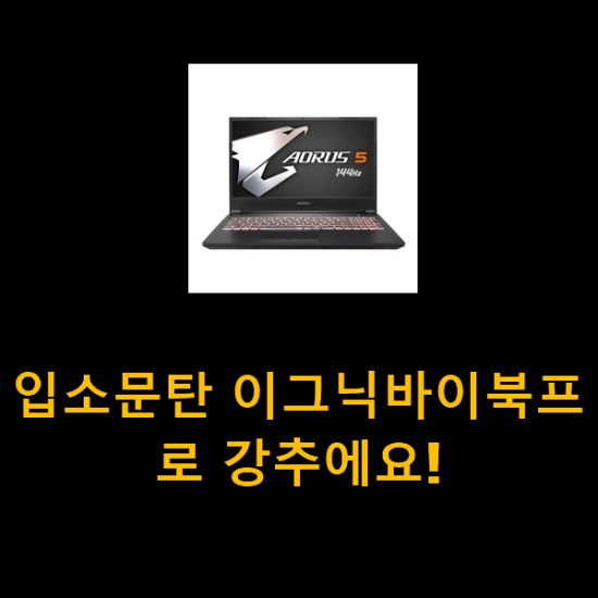 입소문탄 이그닉바이북프로 강추에요! 입소문탄 이그닉바이북프로 강추에요!