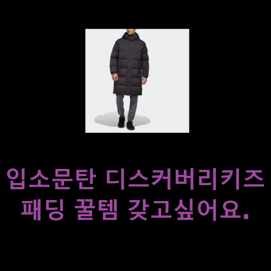  입소문탄 디스커버리키즈패딩 꿀템 갖고싶어요.