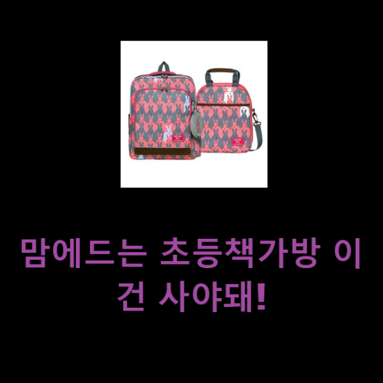  맘에드는 초등책가방 이건 사야돼!