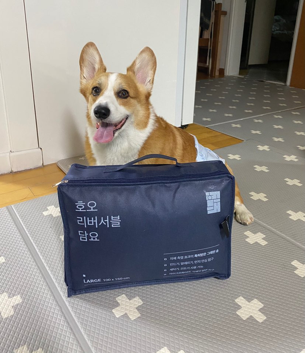  반려견 마약방석보다 좋은 호오 리버서블 담요