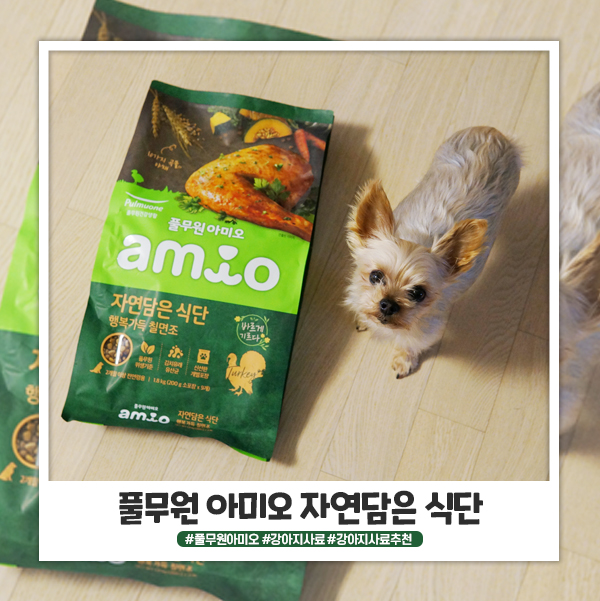 풀무원아미오 기호성좋은사료 원탑이예요! 풀무원아미오 기호성좋은사료 원탑이예요!