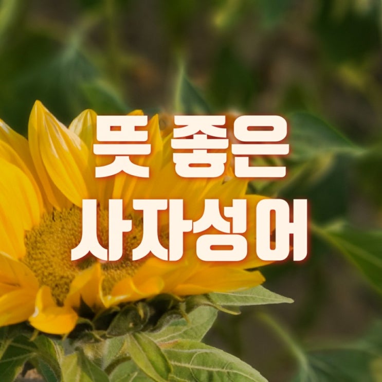  뜻좋은 사자성어 10가지