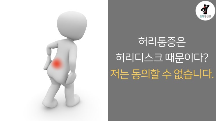  허리디스크 통증 : 통증이 없어졌다고 나은게 아니다.