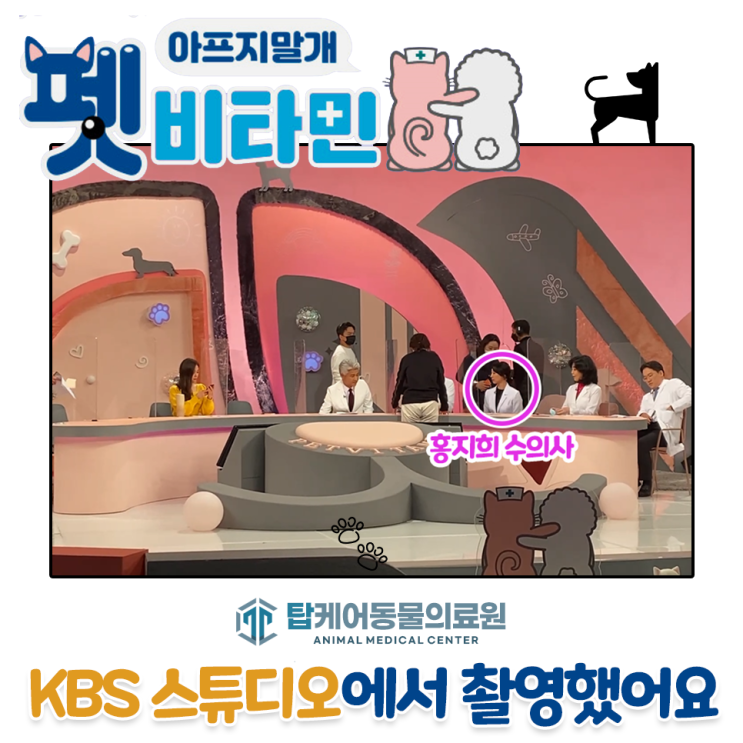  아프지말개 :: 펫비타민9화 동물병원 탑케어동물의료원, 홍지희 수의사 KBS 스튜디오에서 촬영했어요