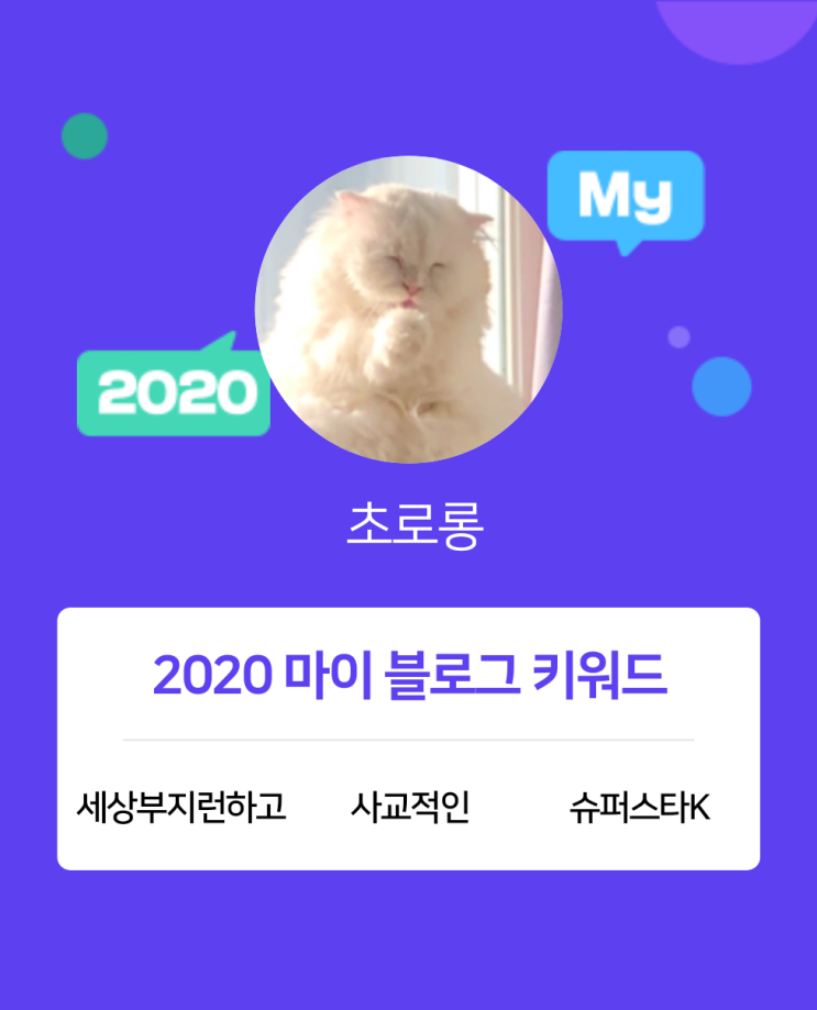  [2020 마이블로그 리포트] 한 눈에 보는 올해 내 블로그 데이터!