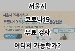  서울시 코로나19 무료 검사 어디서 가능한가?