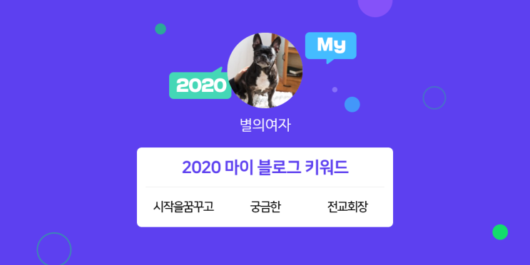  [2020 마이블로그 리포트] 한 눈에 보는 올해 내 블로그 데이터!