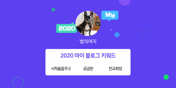 [2020 마이블로그 리포트] 한 눈에 보는 올해 내 블로그 데이터!