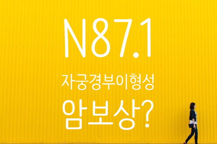  N87.1 중등도자궁경부이형성(Moderate cervical dysplasia) CIN2 암보험보상!