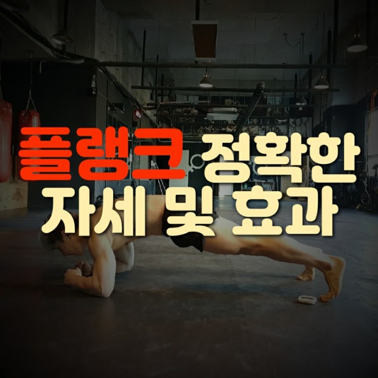  플랭크 자세와 효과 및 운동 시간 (Feat. 뱃살 들어가는 법)