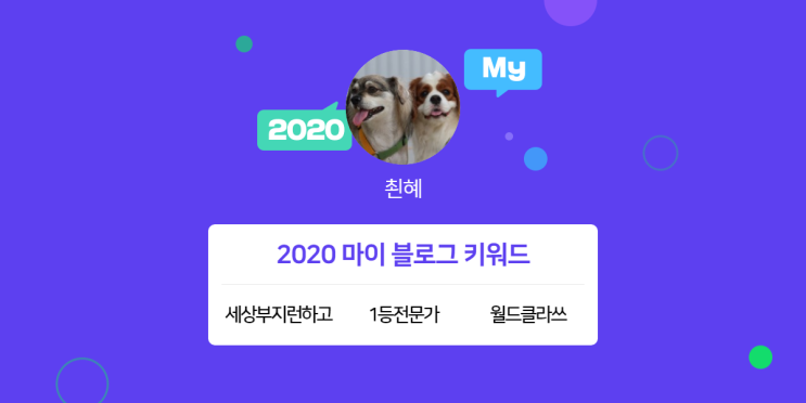  [2020 마이블로그 리포트] 한 눈에 보는 올해 내 블로그 데이터!