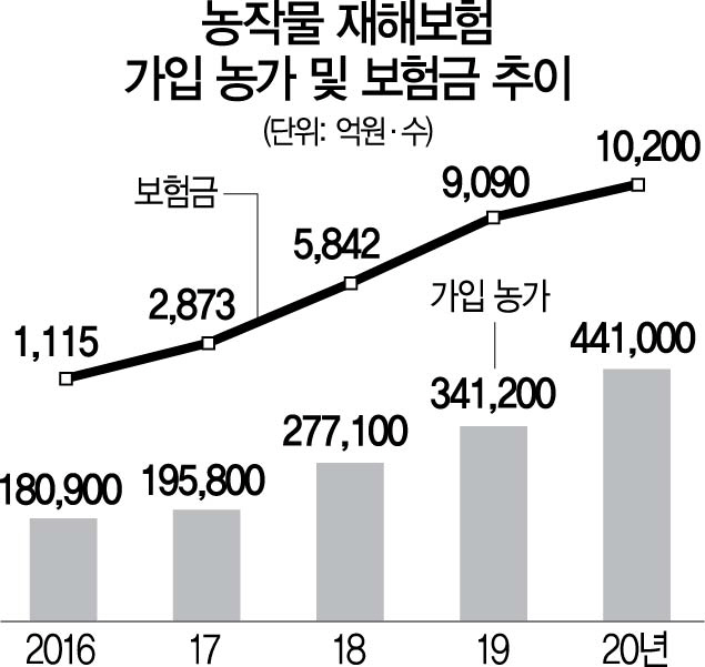최장 장마로 농업재해보험금 지급 1조원 돌파 최장 장마로 농업재해보험금 지급 1조원 돌파