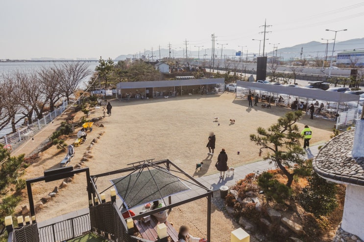  몽썸 애견운동장, 시설 좋고 위치 좋았던 부산 애견카페