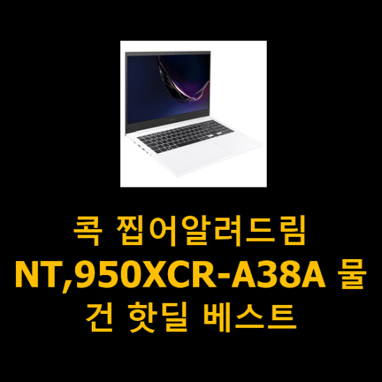 콕 찝어알려드림 NT,950XCR-A38A 물건 핫딜 베스트