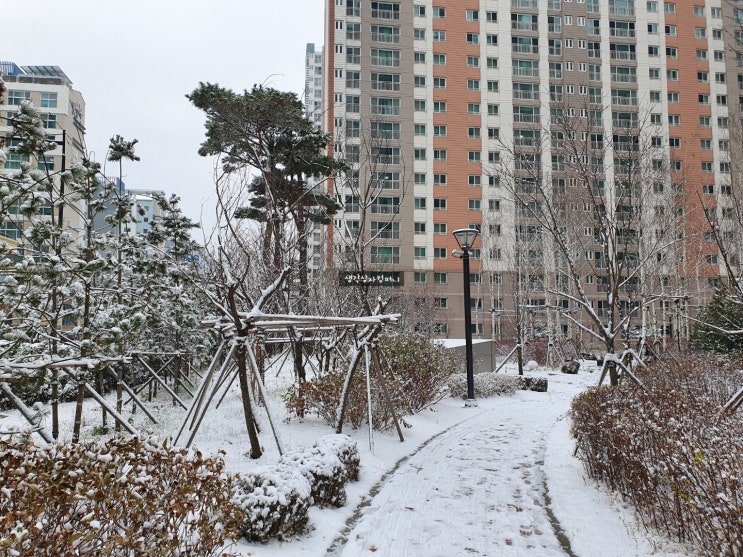  인북스ort 3단계 / The Snowman - 아빠표 영어 4일차