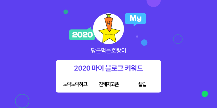  [2020 마이블로그 리포트] 한 눈에 보는 올해 내 블로그 데이터!