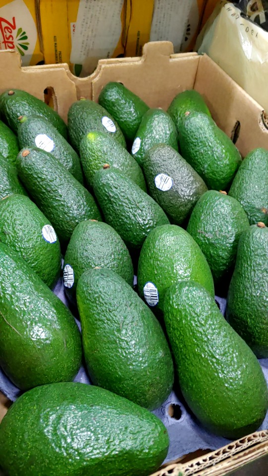  아보카도, 맛있는 아보카도는 어떤걸까요??