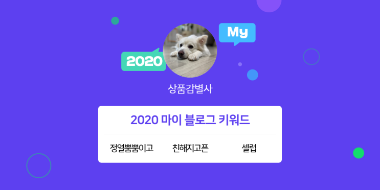  [2020 마이블로그 리포트] 한 눈에 보는 올해 내 블로그 데이터!