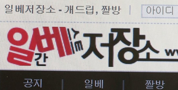 '일베'에 아동음란물 올린 초등학교교사 벌금형