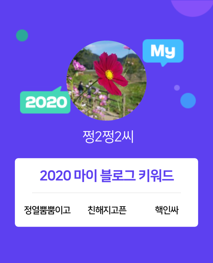  [2020 마이블로그 리포트] 한 눈에 보는 올해 내 블로그 데이터!