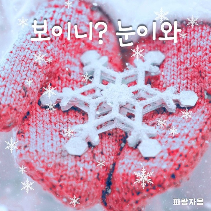 파랑자몽 - 보이니 눈이와 [듣기, 노래가사, MV]