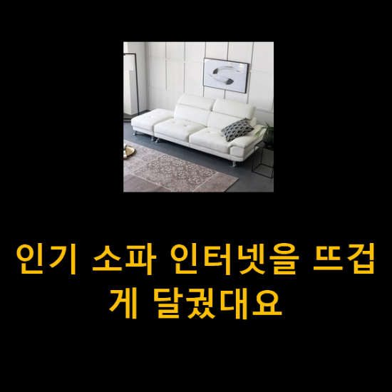  인기 소파 인터넷을 뜨겁게 달궜대요