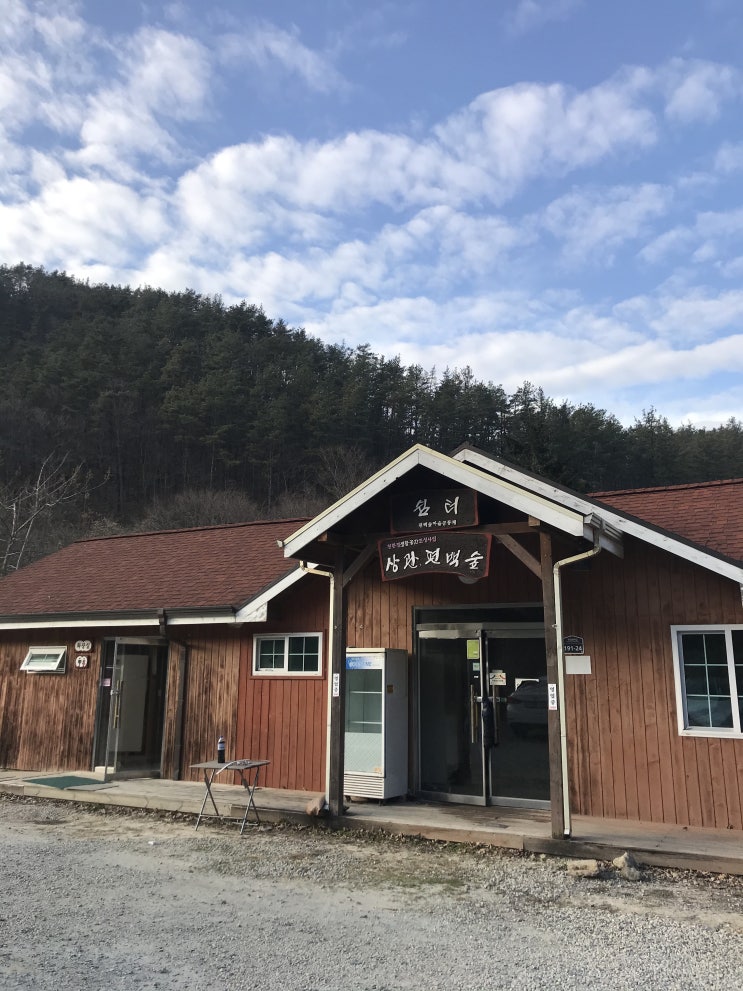  겨울 전주 근교 여행지로 상관 편백나무숲을 추천합니다!!