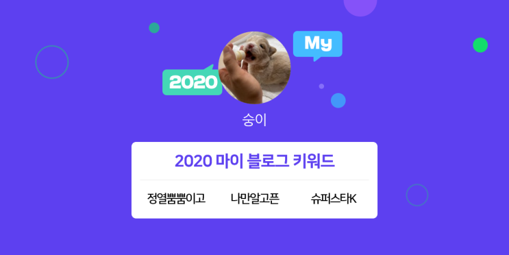  [2020 마이블로그 리포트] 한 눈에 보는 올해 내 블로그 데이터!