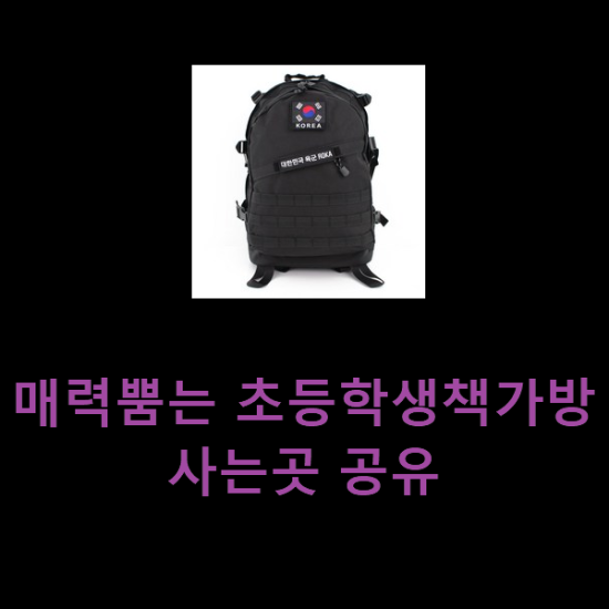  매력뿜는 초등학생책가방 사는곳 공유