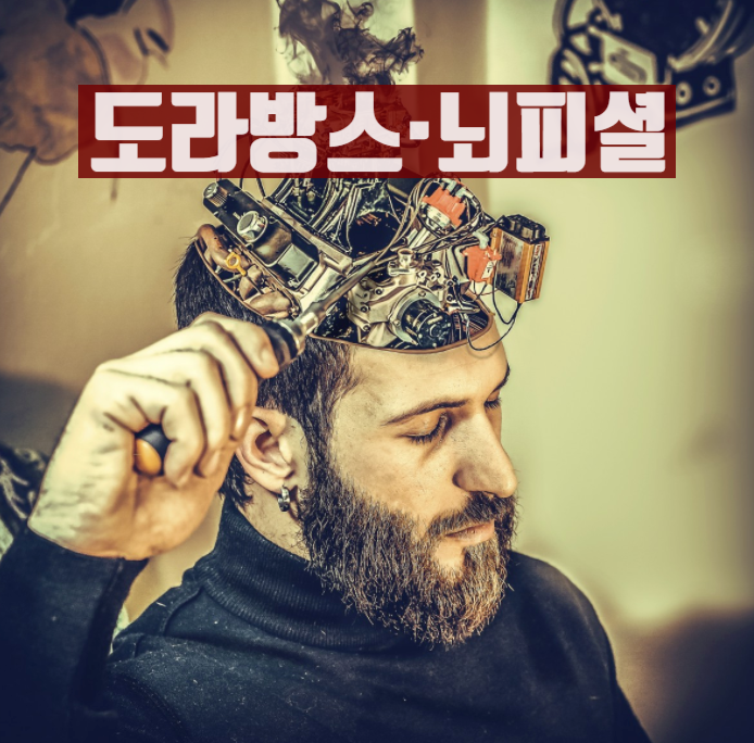  도라방스 피셜 뜻 알아보시죠