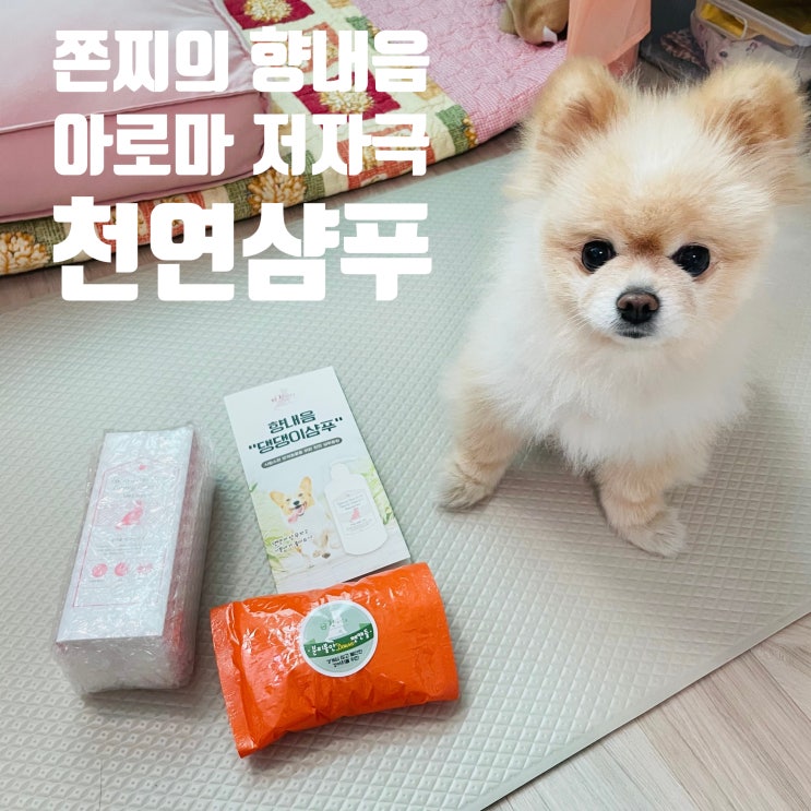 [애견쇼핑몰] 향내음 강아지샴푸 포메라니안샴푸 사용후기 추천