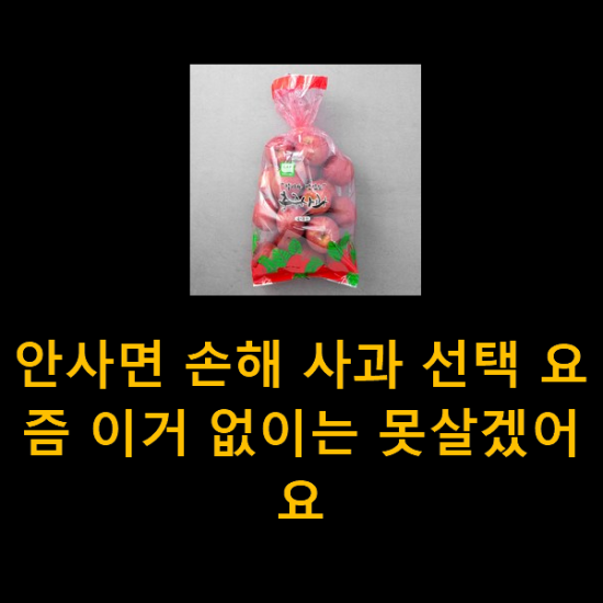 안사면 손해 사과 선택 요즘 이거 없이는 못살겠어요