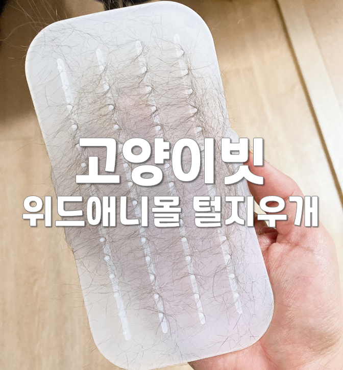  고양이빗 위드애니몰 털지우개로 부드럽게 털 제거