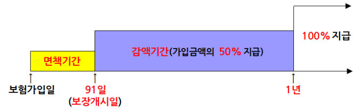  보장개시일, 면책기간, 감액기간의 정확한 의미를 알아봅시다.