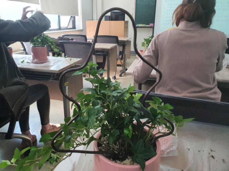  원예치료사 12주차수업 :: 아이비 프레임 화분 만들기