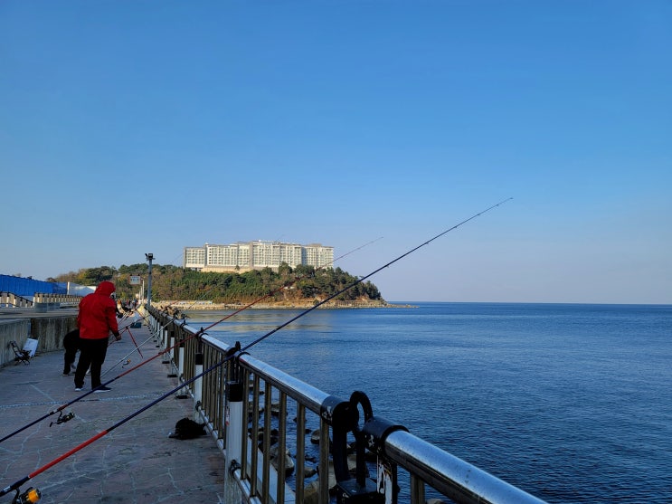 속초 바다낚시 명소 해변 및 방파제 낚시 총정리 속초 바다낚시 명소 해변 및 방파제 낚시 총정리