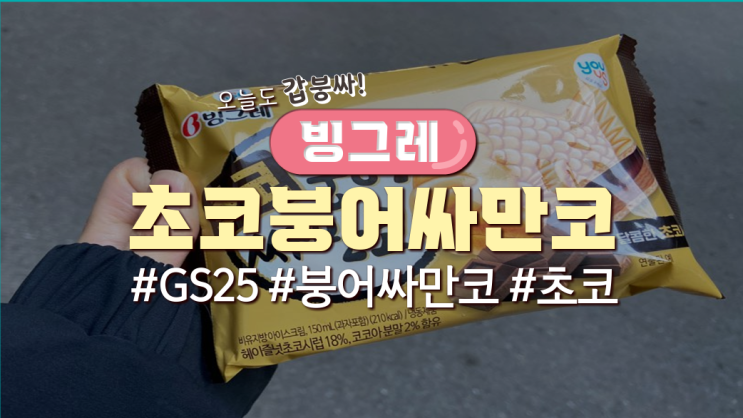  조금 늦은 GS25 신상아이스크림! '초코붕어싸만코'먹어본 후기