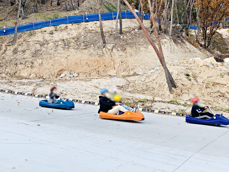  합천 가볼만한곳 국보테마파크 루지 이건 꼭 타야해